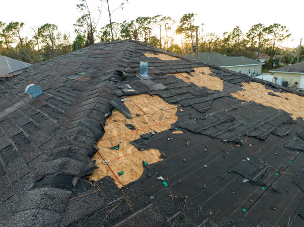 Best Asphalt Shingles Roofing  in Andover, KS