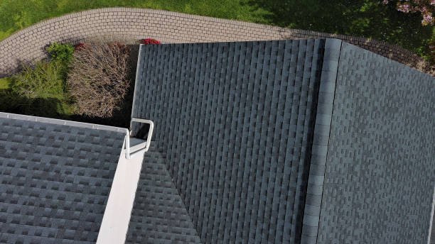 Best Roof Moss and Algae Removal  in Andover, KS